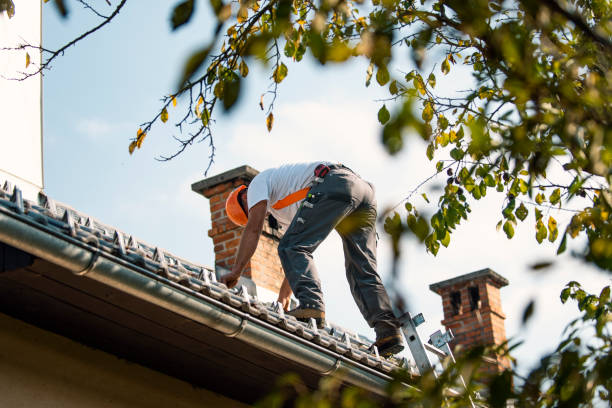 Best Tile Roofing Contractor  in Mount Vernon, AL