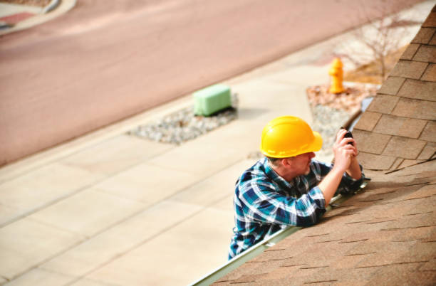 Best Roof Gutter Cleaning  in Mount Vernon, AL