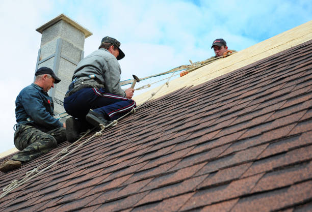 Best Storm Damage Roof Repair  in Mount Vernon, AL